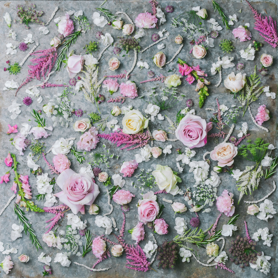 Tall & Beautiful Subscription