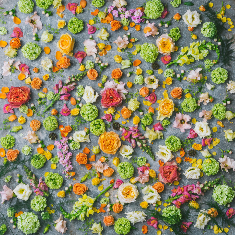 Tall & Beautiful Subscription