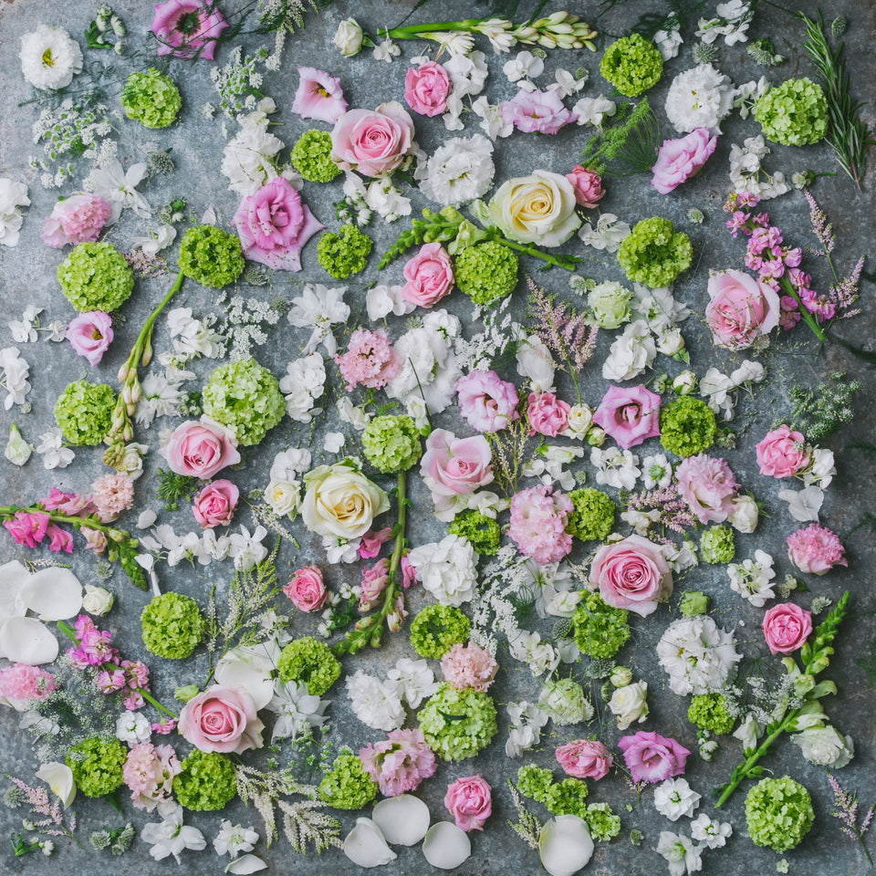 Tall & Beautiful Subscription