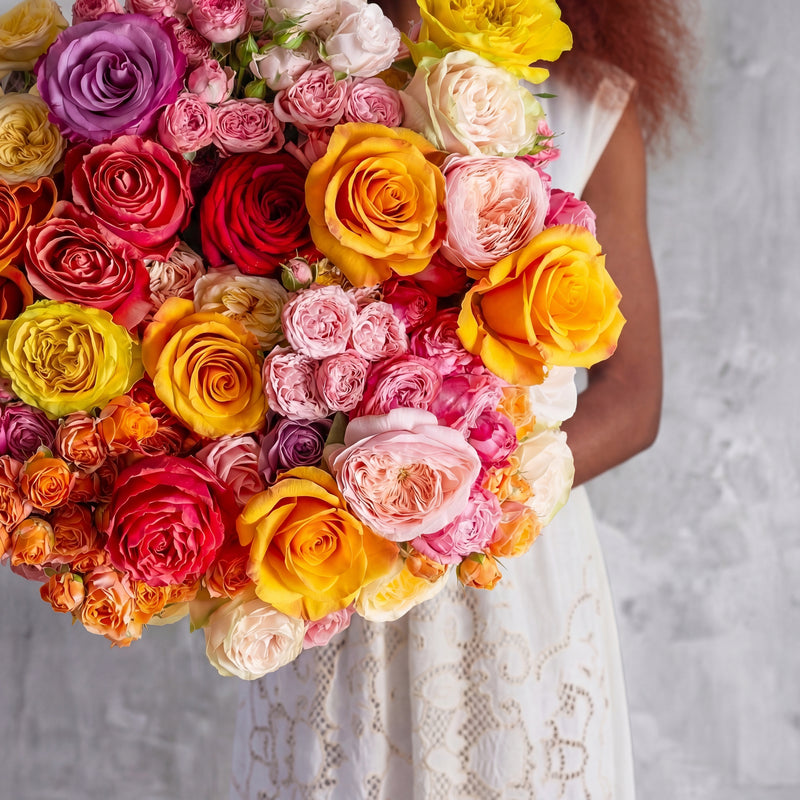 Everything Is Coming Up Roses