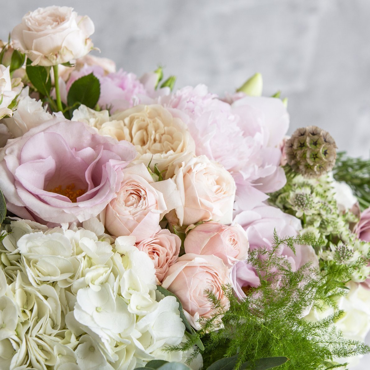 Toasted Marshmallows