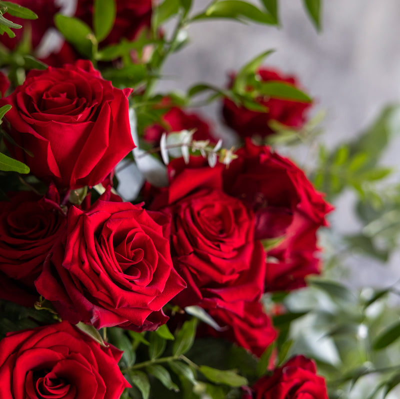 Wild Hearts & Kisses